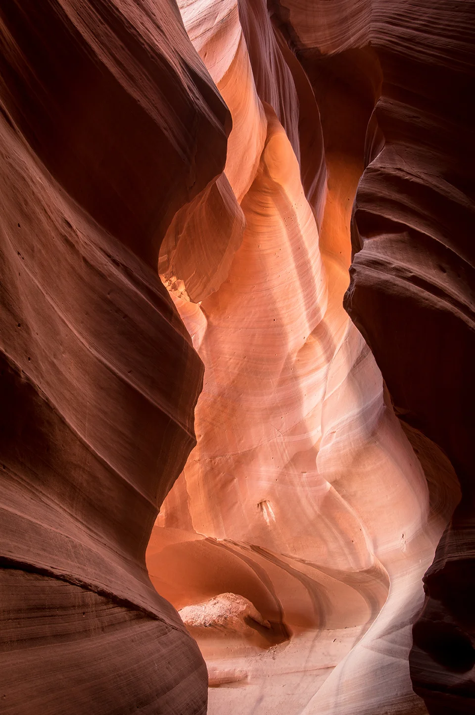 DSC_0166.jpg