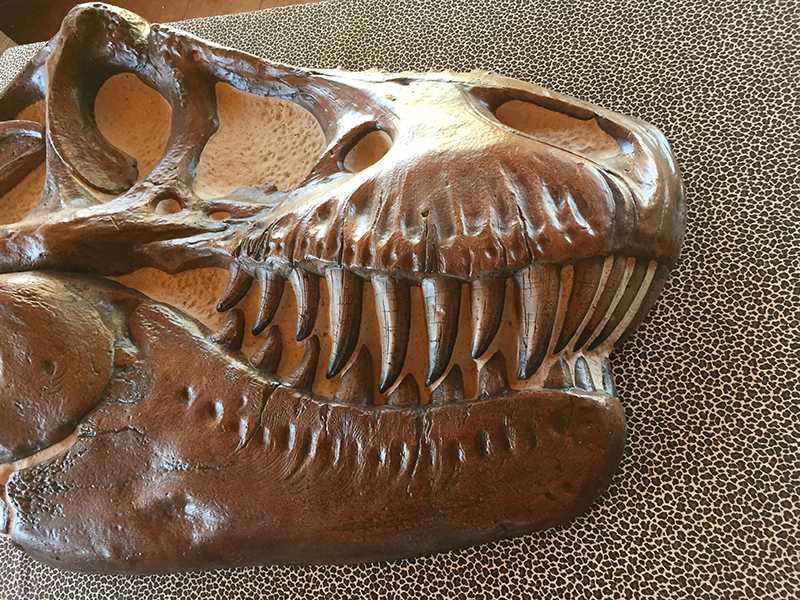 Trex Wall mount.png