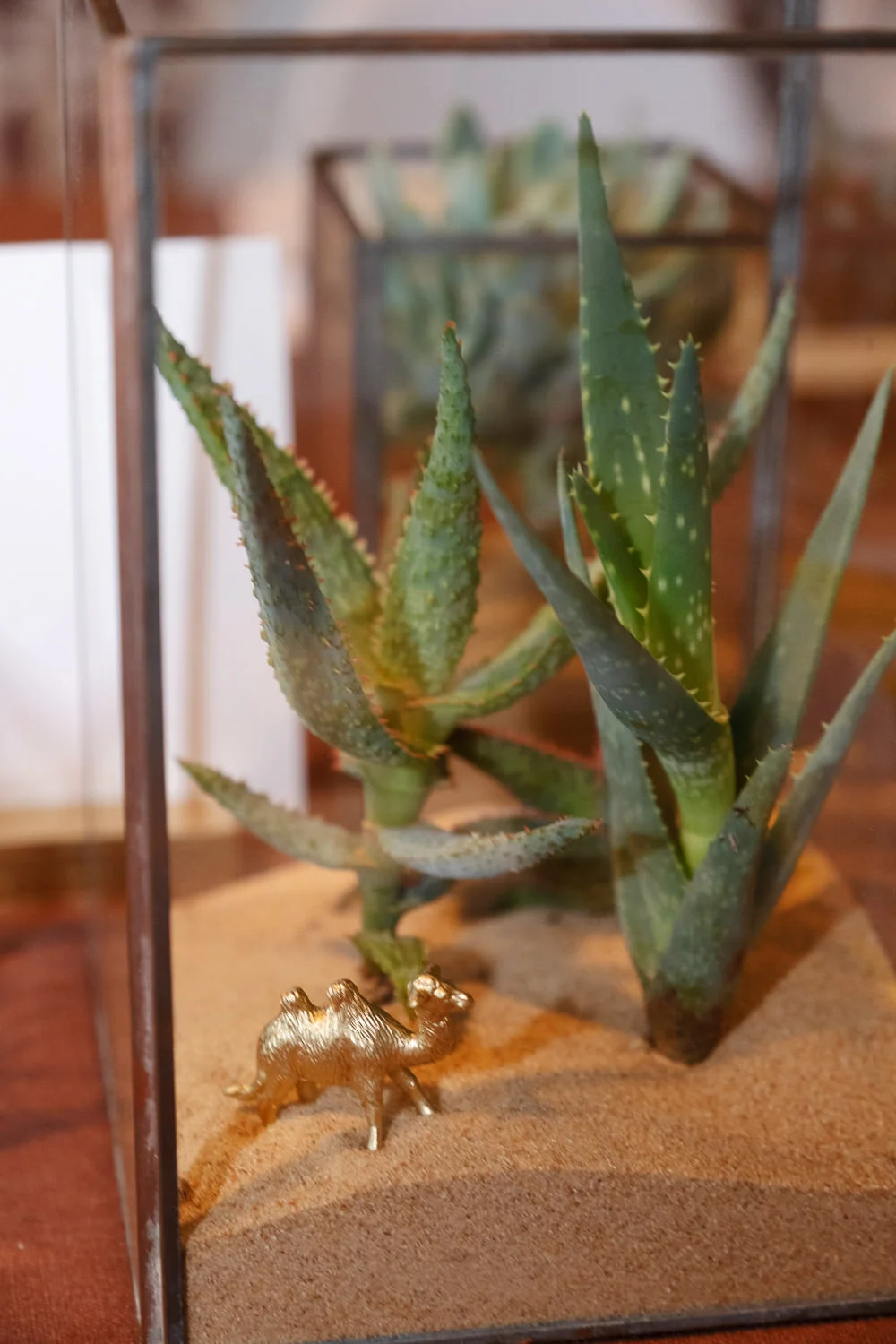  cactus in sand with gold camel figurine 