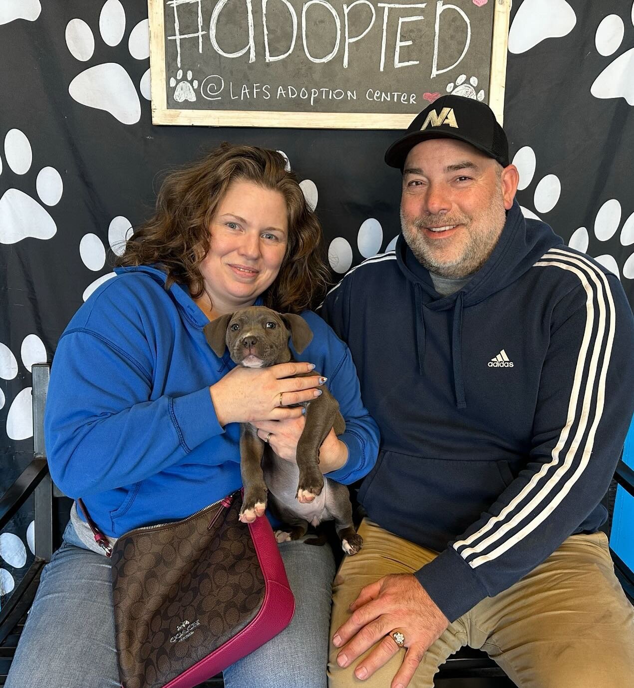 Hippo has been #adopted!