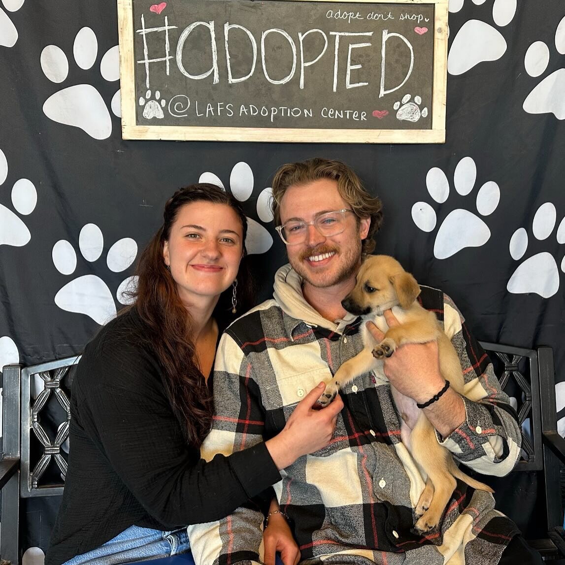 Tweety has been #adopted!