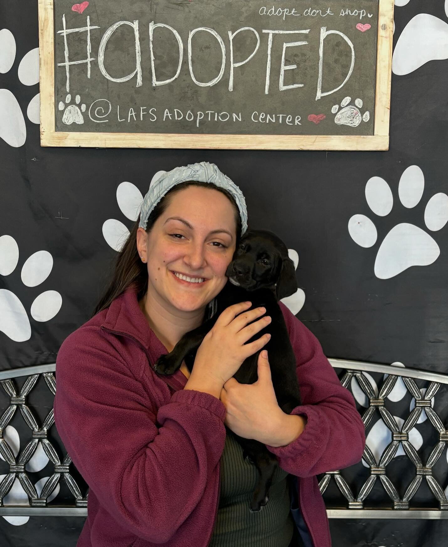 Pongo has been #adopted!