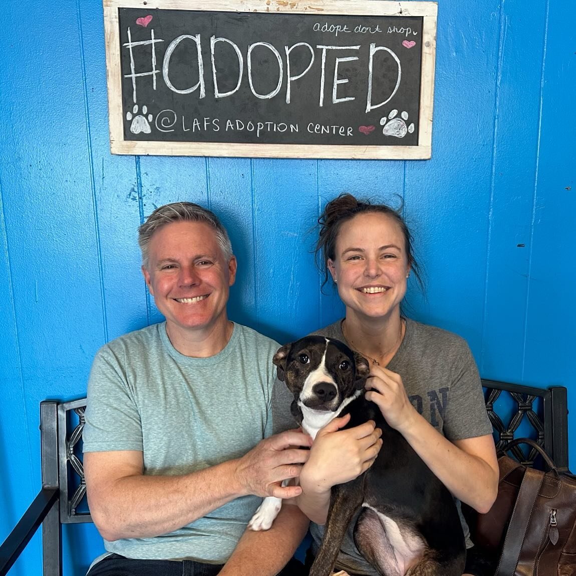 Agatha has been #adopted!