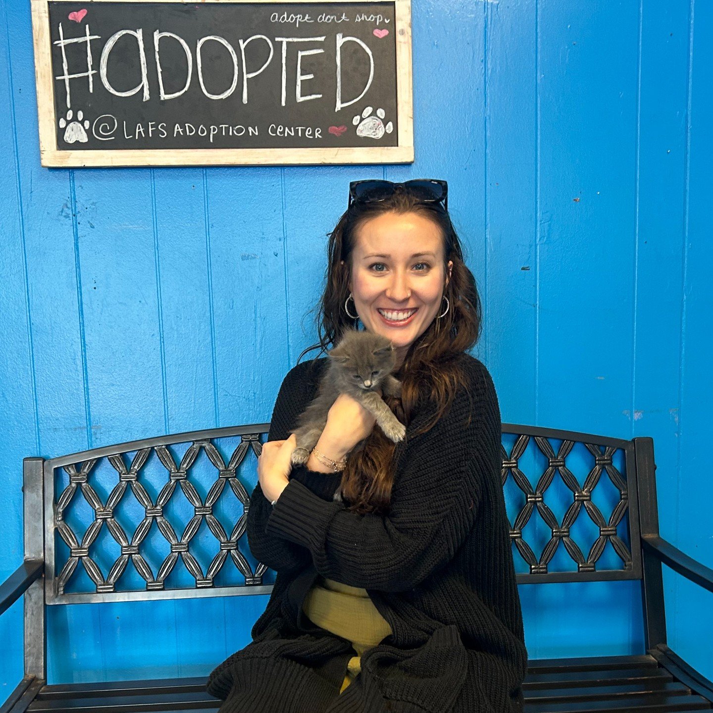 Waldorf, now Haides, has been #adopted‼️
