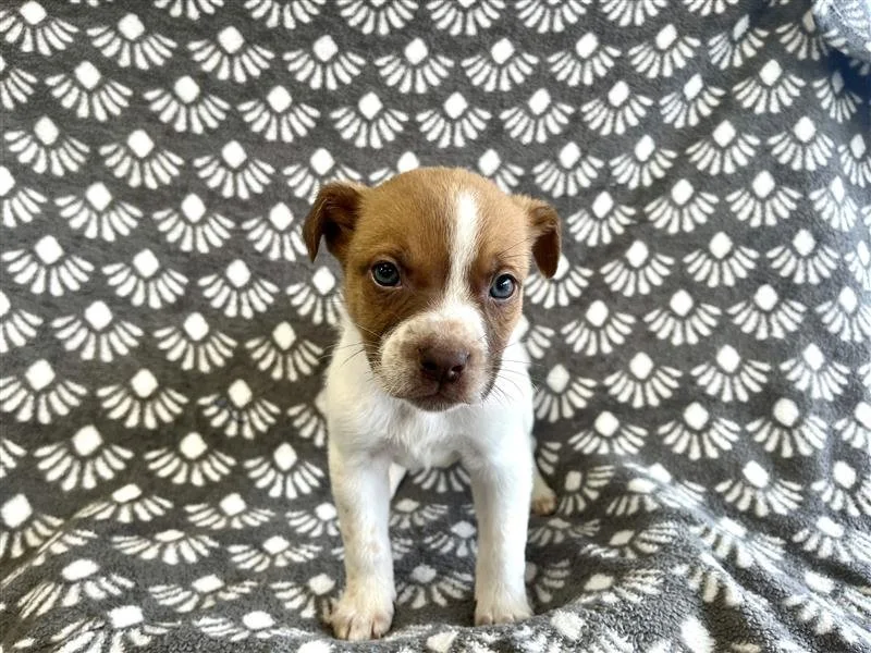 Image - 2026-01-08T124213.977.jpg