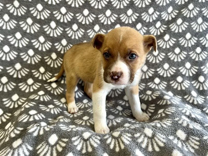 Image - 2026-01-08T125743.124.jpg