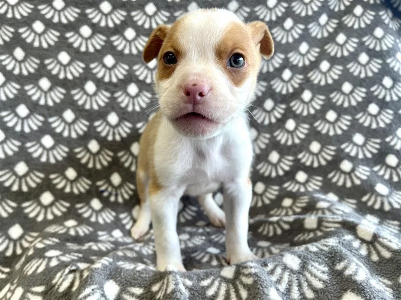 Image - 2026-01-08T130723.121.jpg