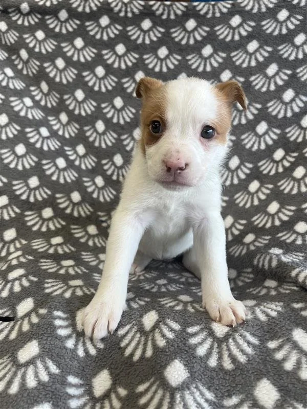 Image - 2026-01-08T131123.882.jpg