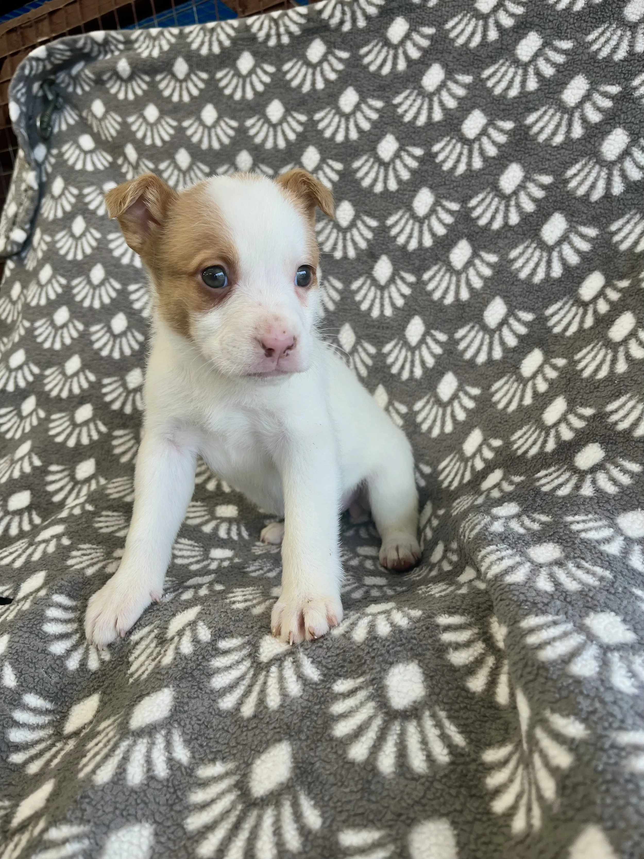 Image - 2026-01-08T131130.753.jpg