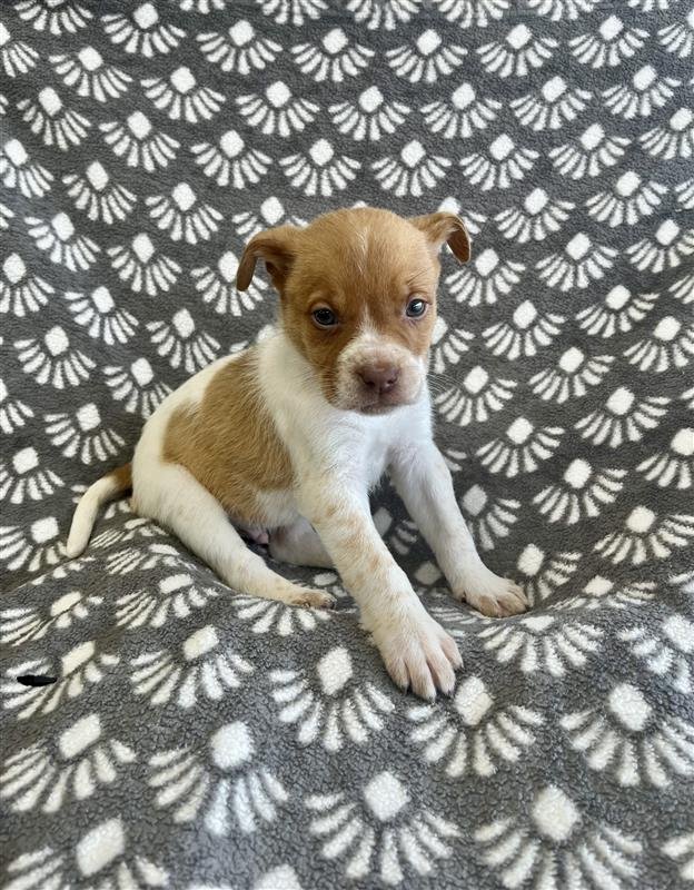 Image - 2026-01-08T133641.221.jpg