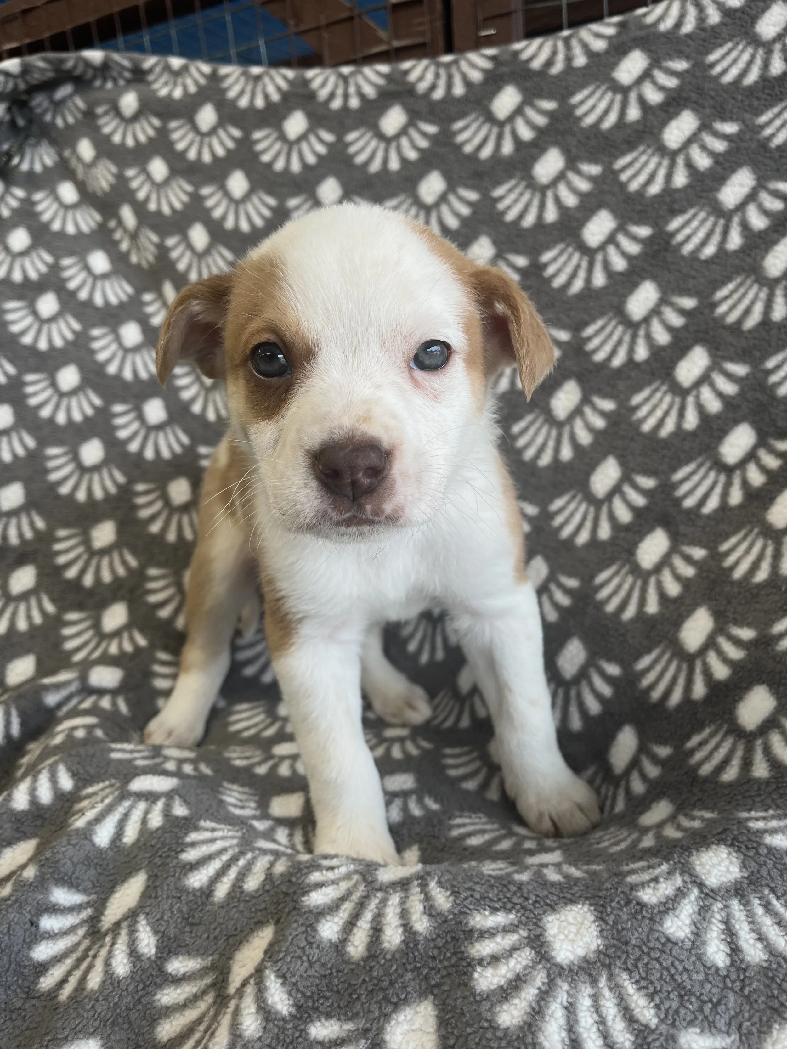 Image - 2026-01-08T134013.810.jpg