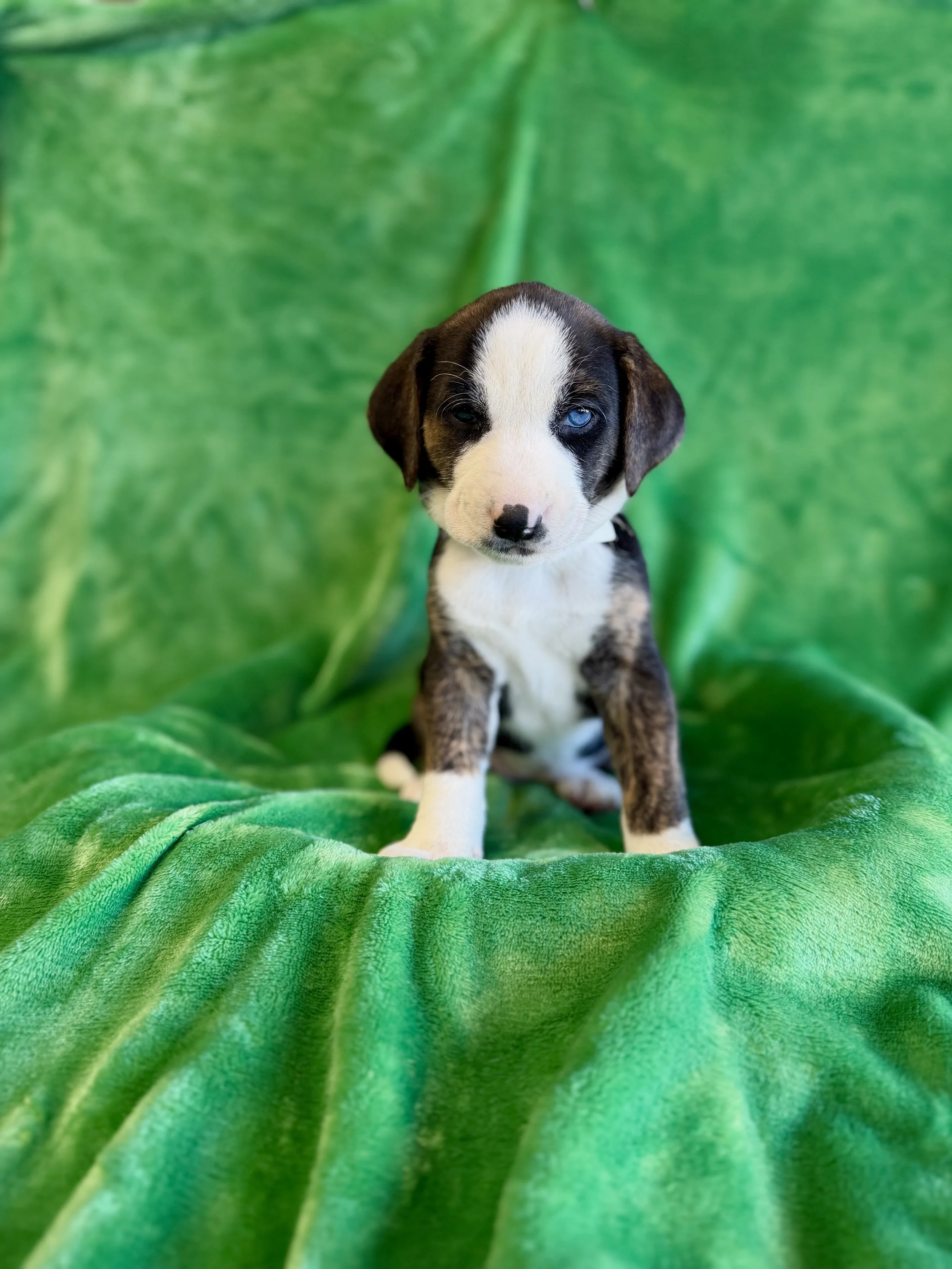 Image - 2026-01-12T163232.416.jpg