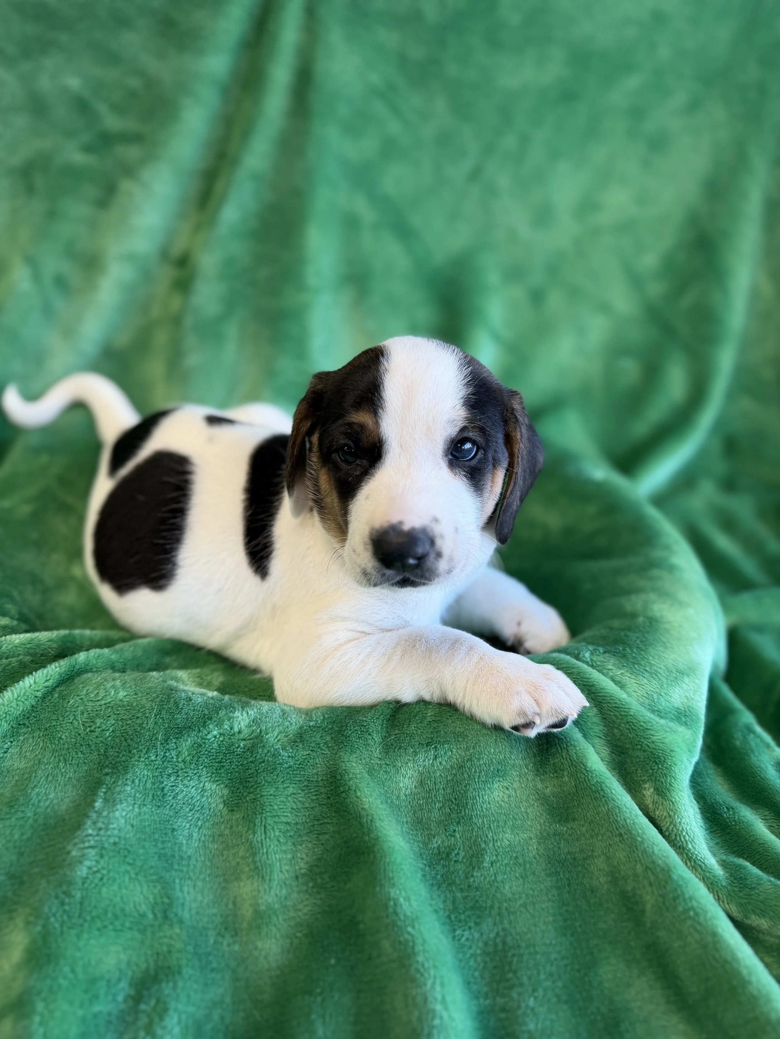 Image - 2026-01-12T183913.836.jpg