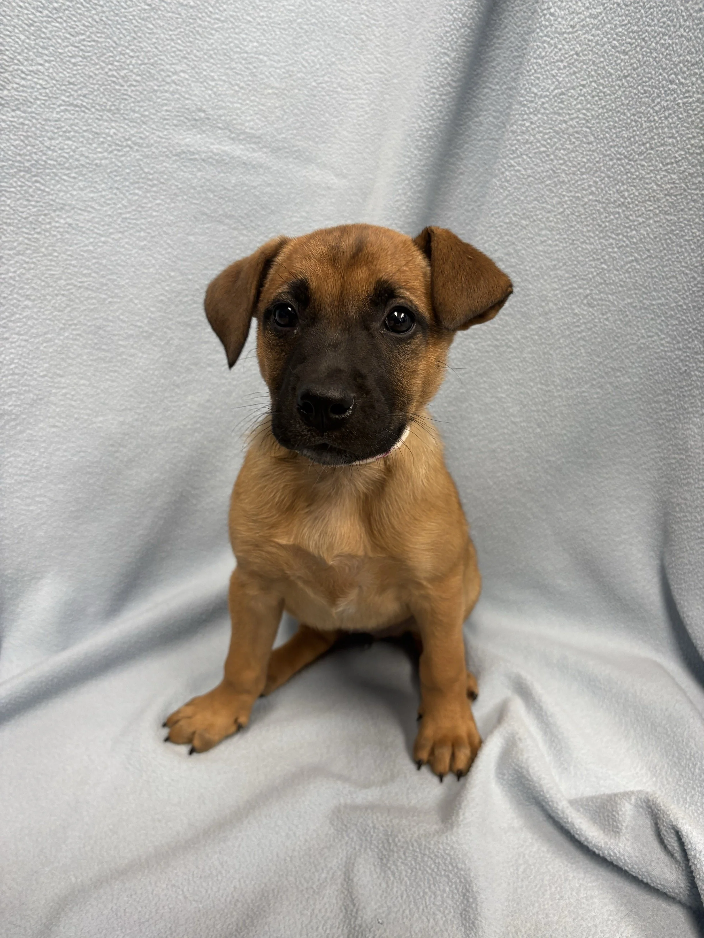 Image - 2026-04-09T130153.130.jpg