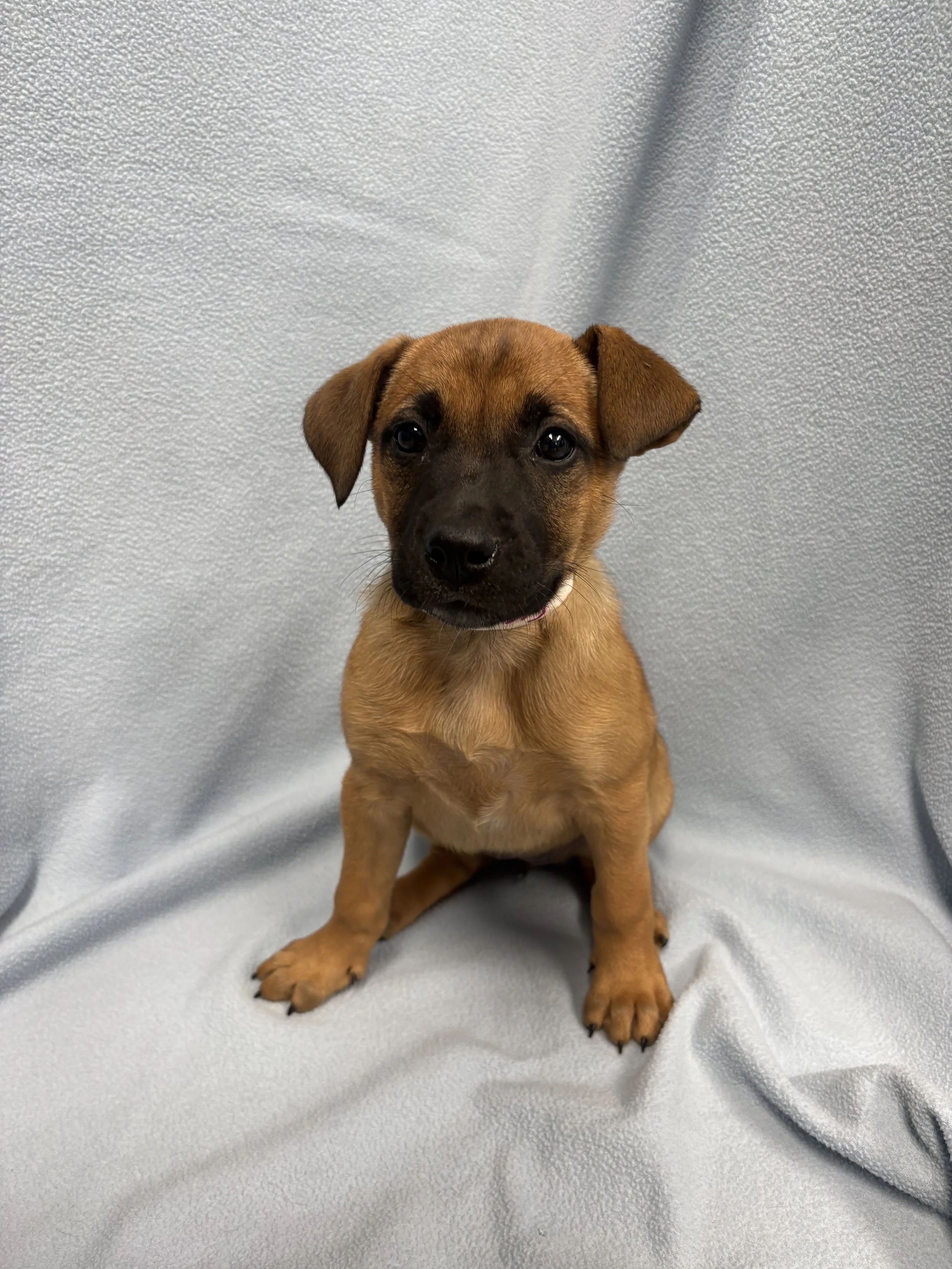 Image - 2026-04-09T130158.426.jpg