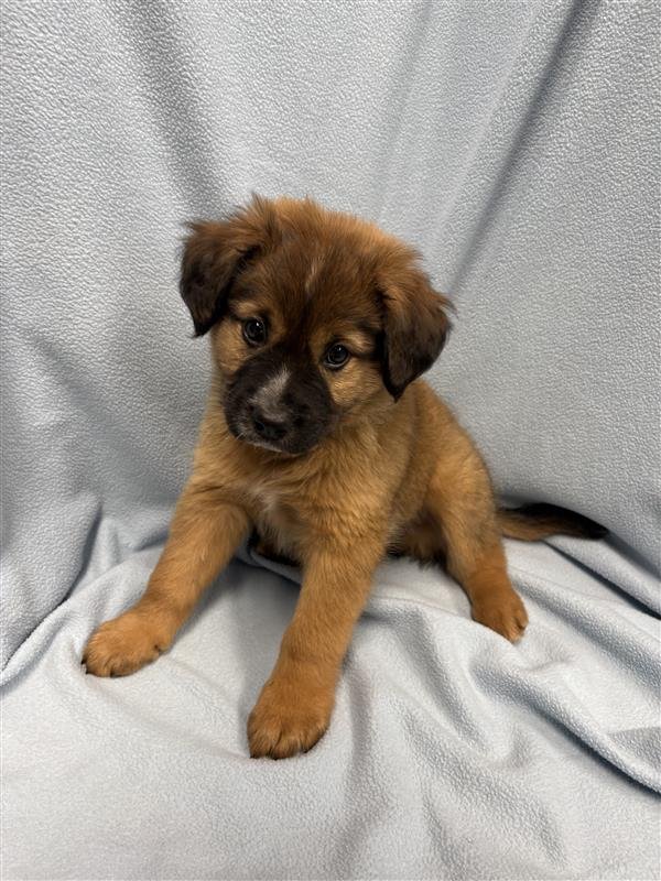 Image - 2026-04-09T130243.729.jpg