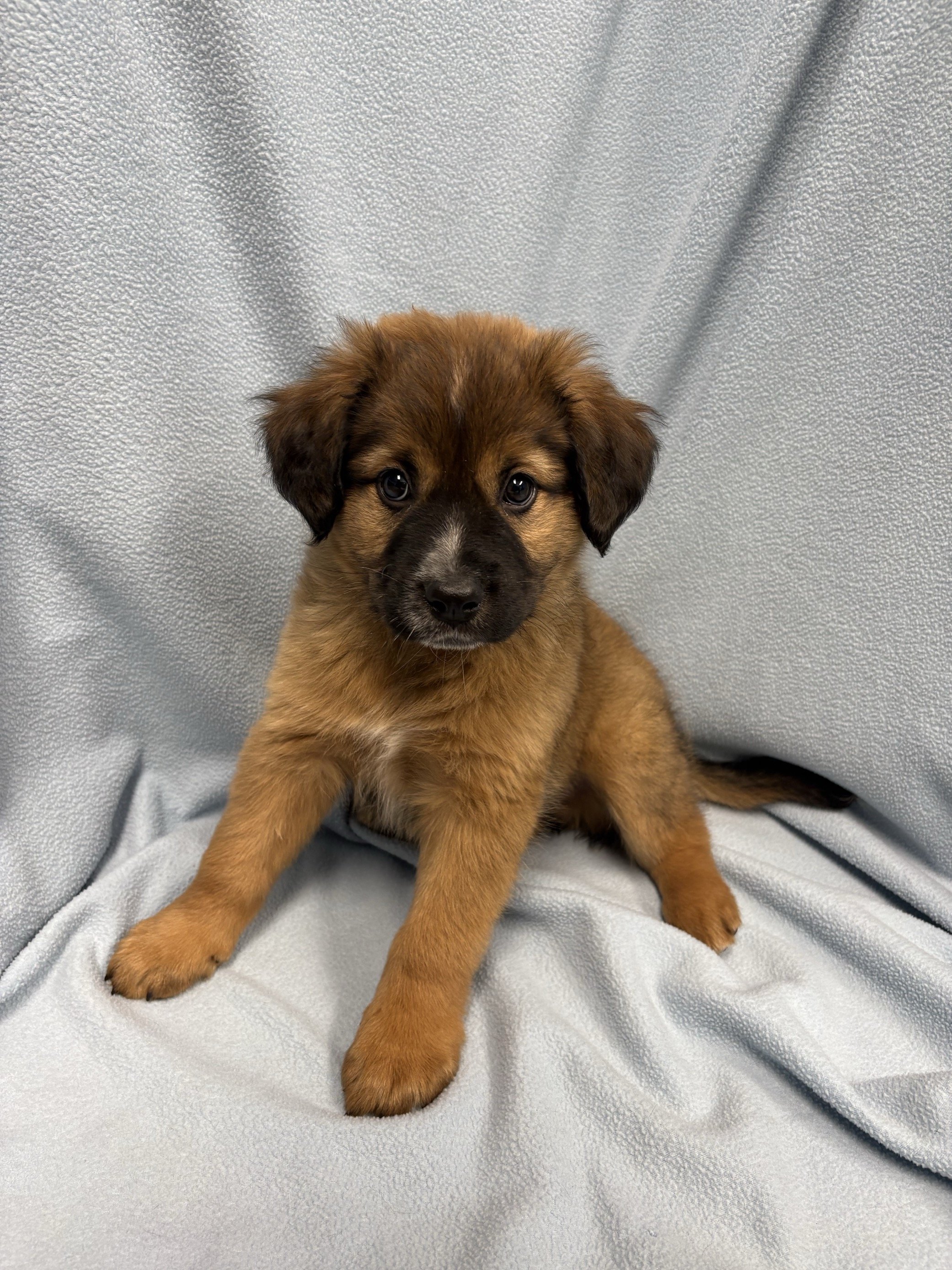 Image - 2026-04-09T130246.381.jpg