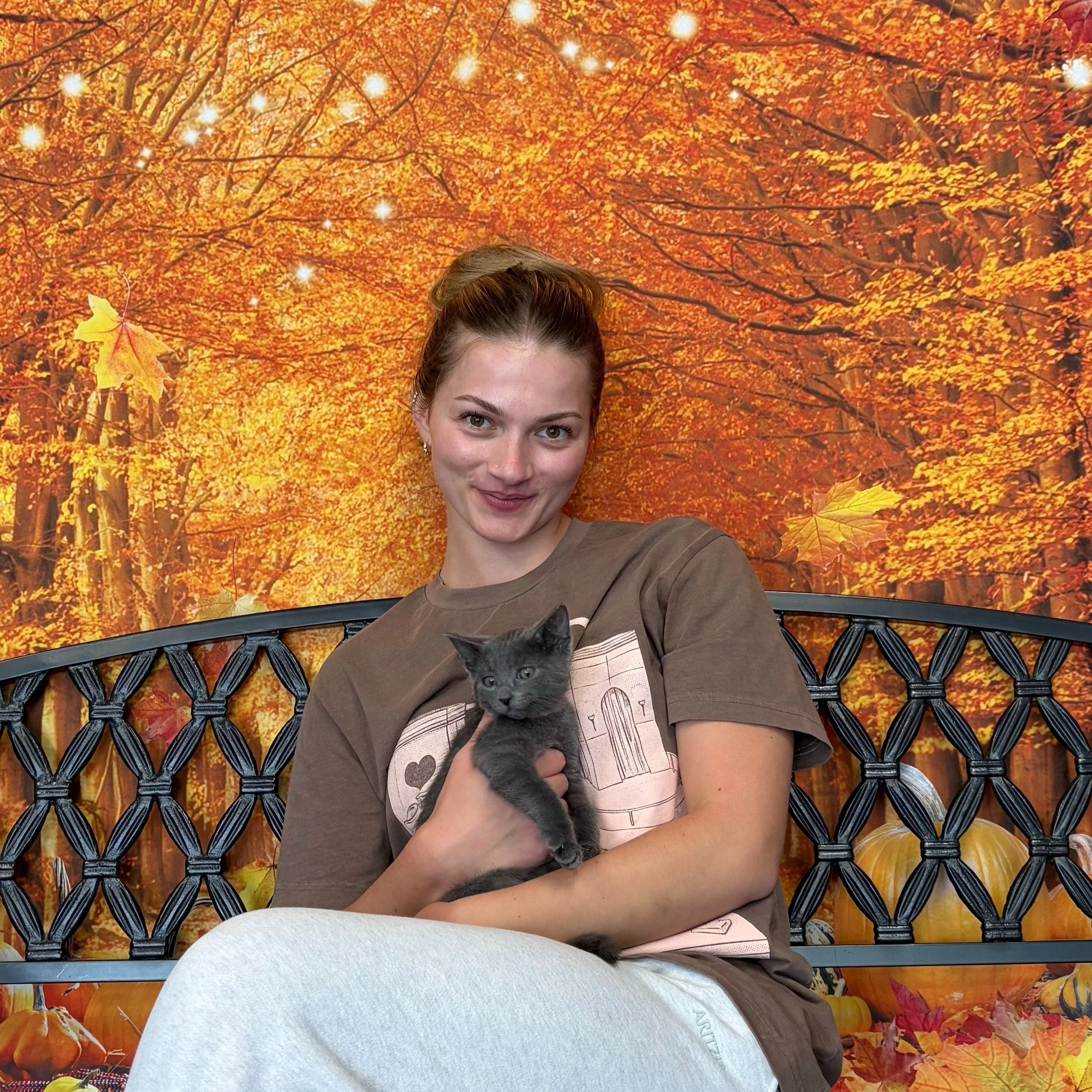 Lily has been #adopted!
