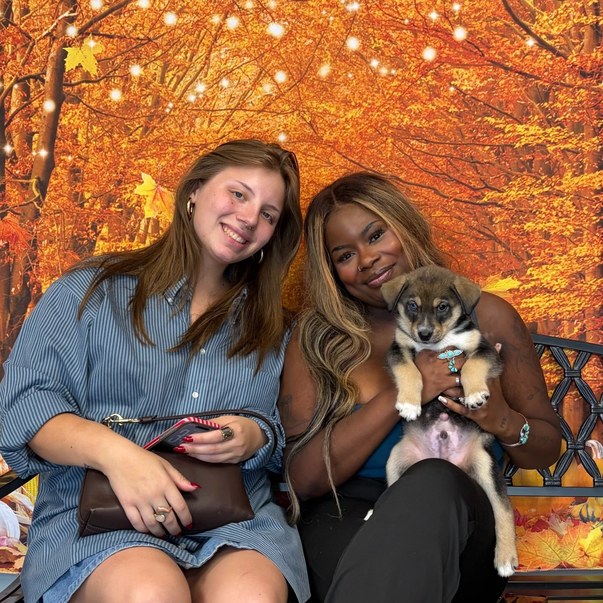 Ranger was #adopted!