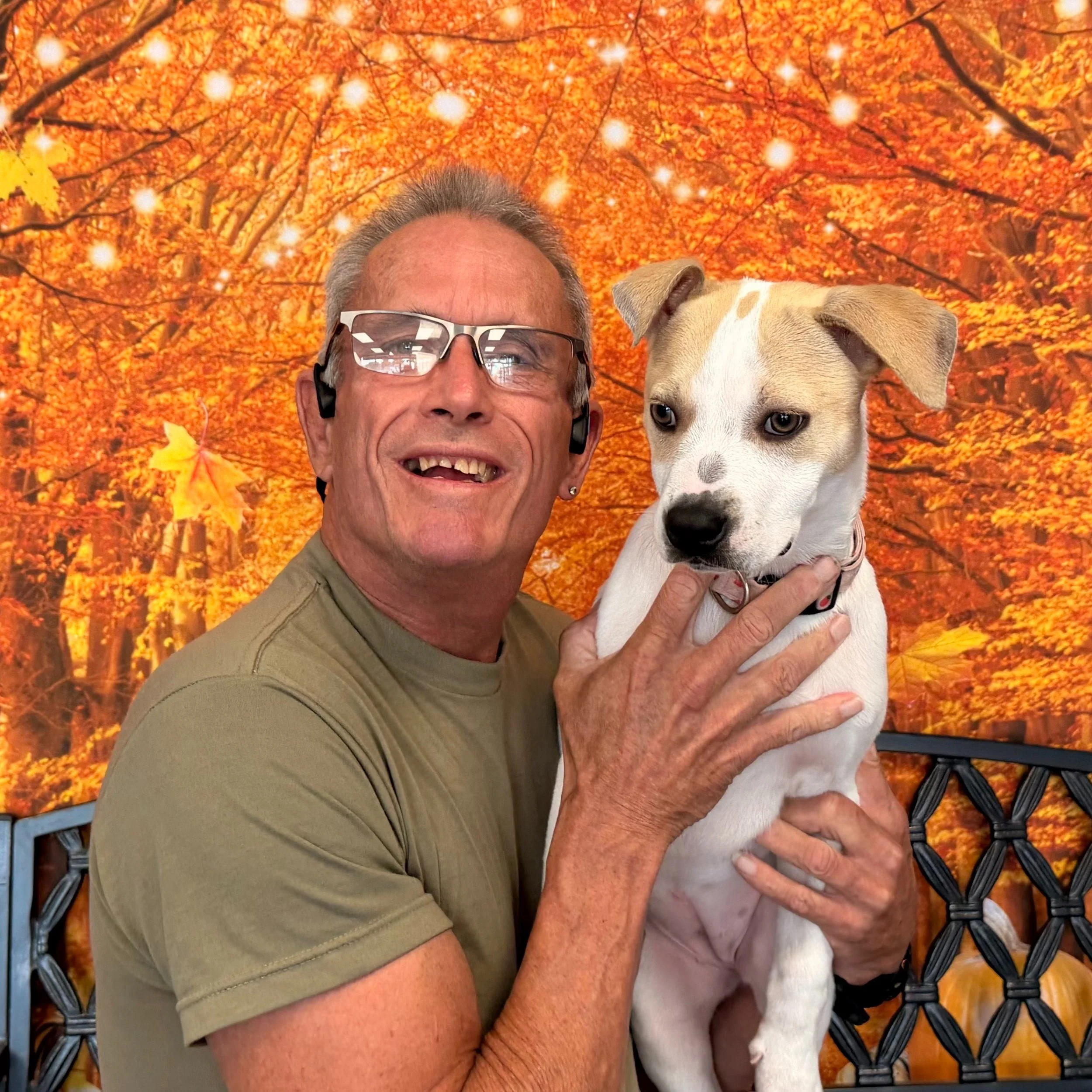 Shelby has been #adopted!