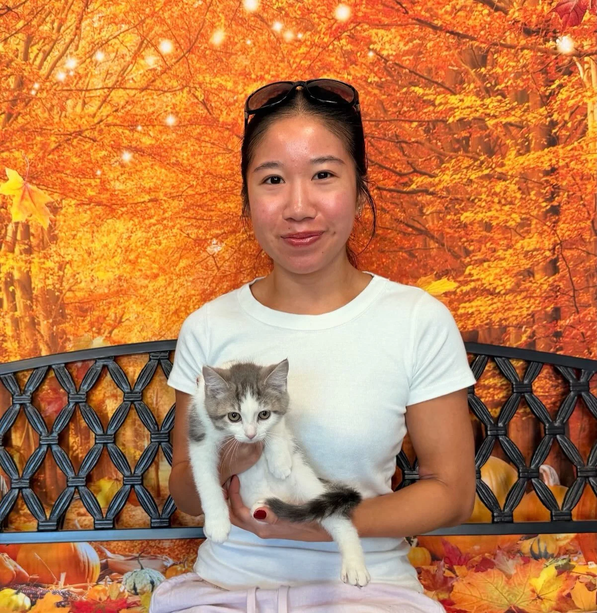 Bella, now Frankie, has been #adopted!