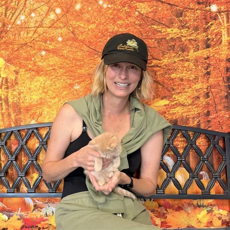 Rotini, now Cherry, has been #adopted!
