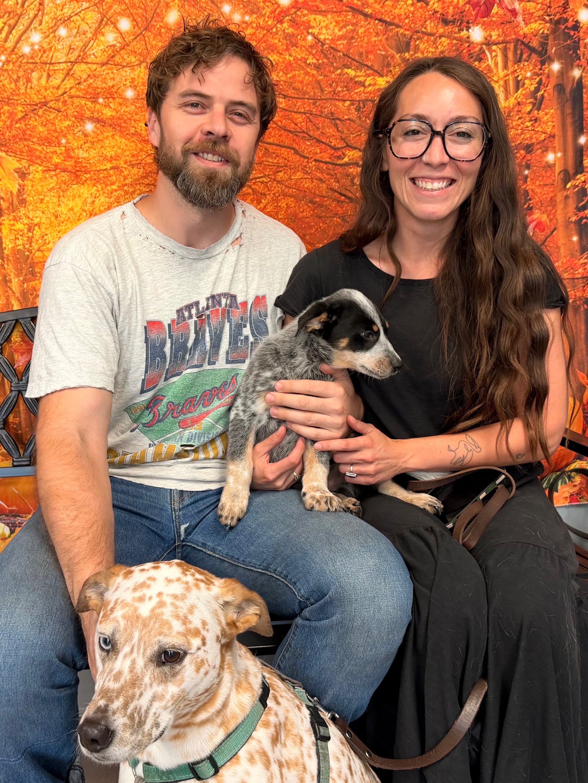 Grey Wind has been #adopted!
