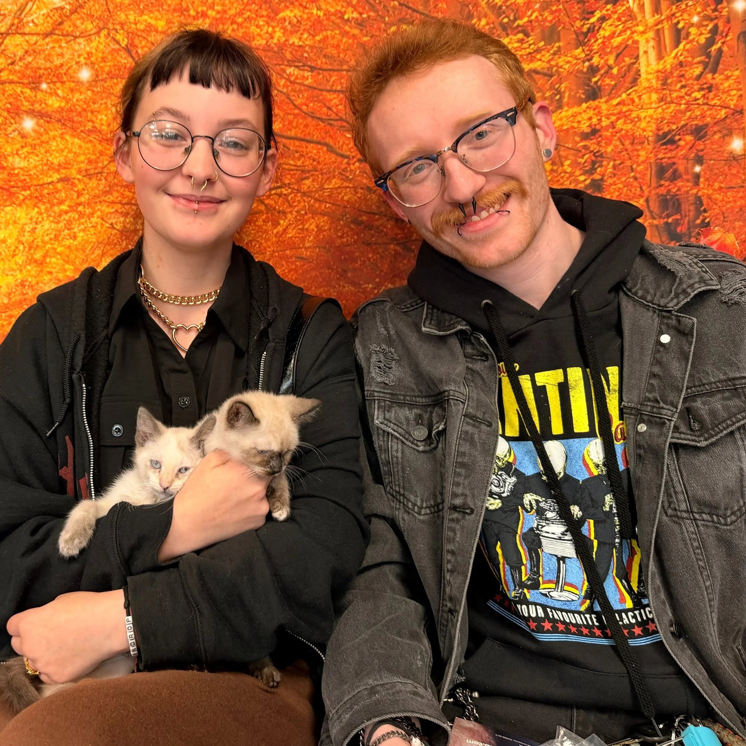 Monk and Harp, now Circe and Athena, were #adopted!