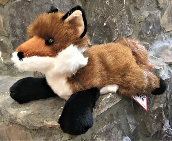 The fox roxy 