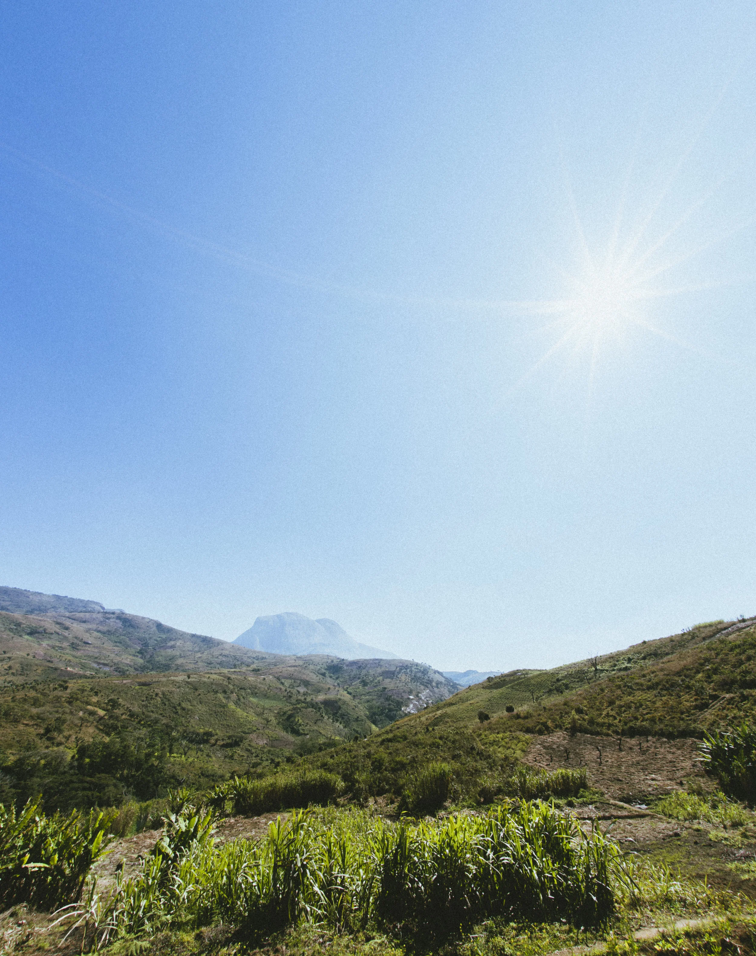   “Through Lightyear, I’ve been given tools that I draw on for daily success and for aligning me to my desired future. I’m ever grateful to have been drawn in to this community and to the guidance and care of Susanne. I will use these tools, and thri