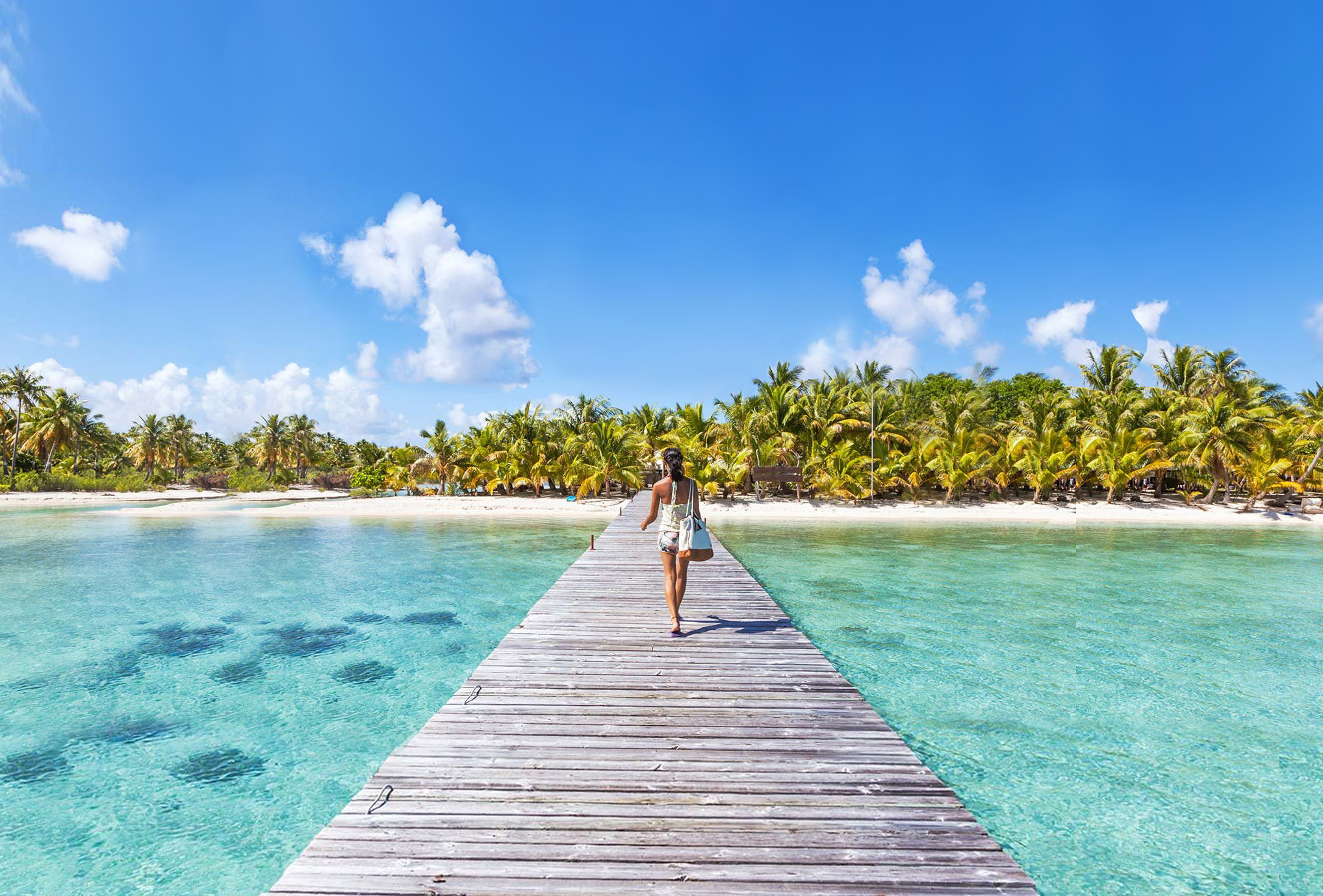 Beach_Dock_v2.jpg