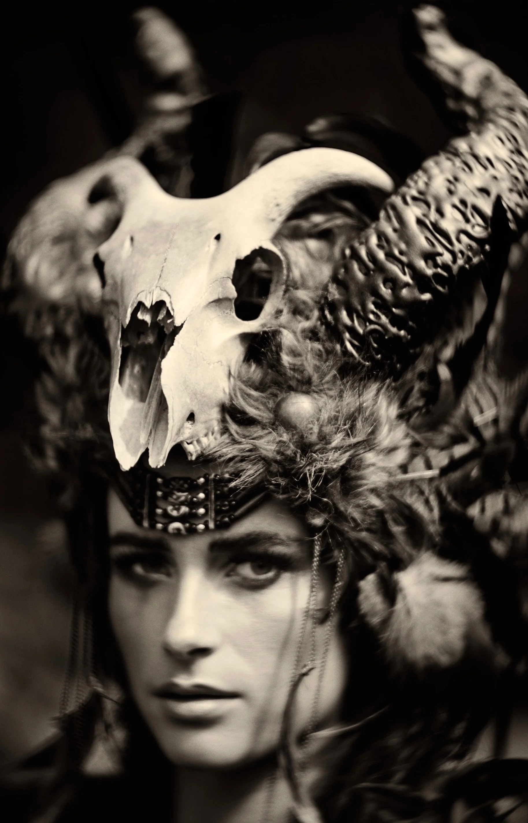 Nocturnal Animals Isla Campbell