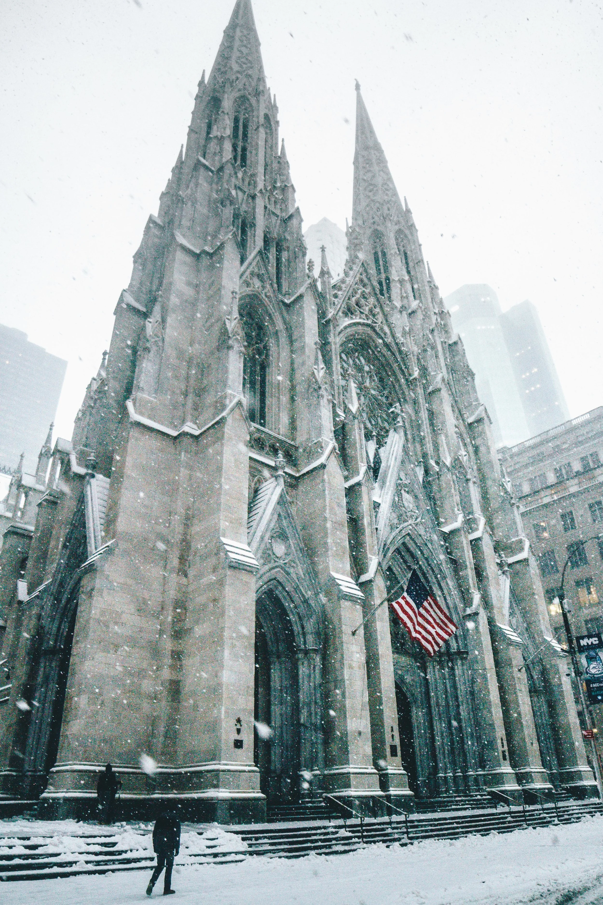 IMG_8847.jpg