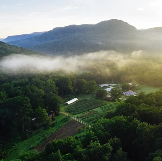 Sequatchie Cove Farm Produces High-Quality Food in Marion County