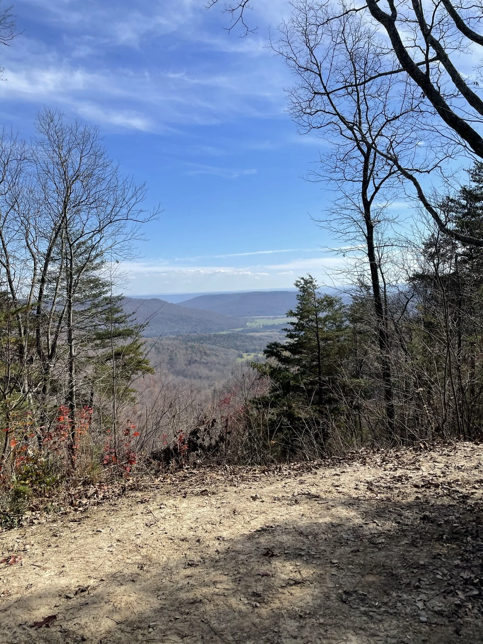 Take Your Next Outdoor Adventure to Sasquatch Farm