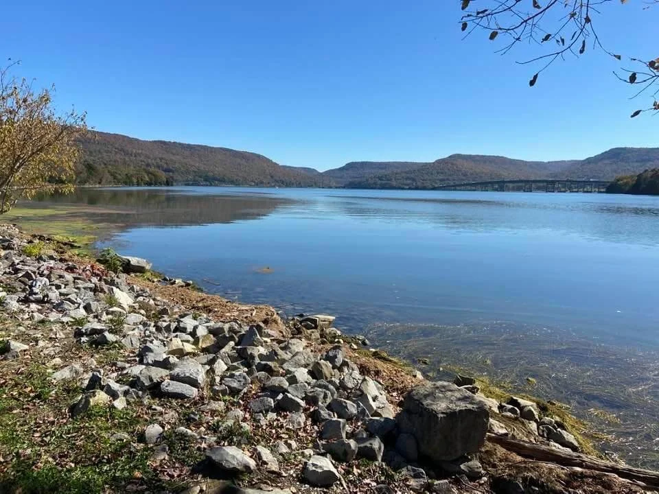 Marion County Park Booking Day Happening Feb. 4