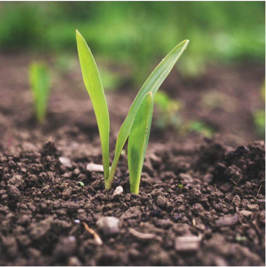 Marion County Soil Conservation April 2026 Newsletter