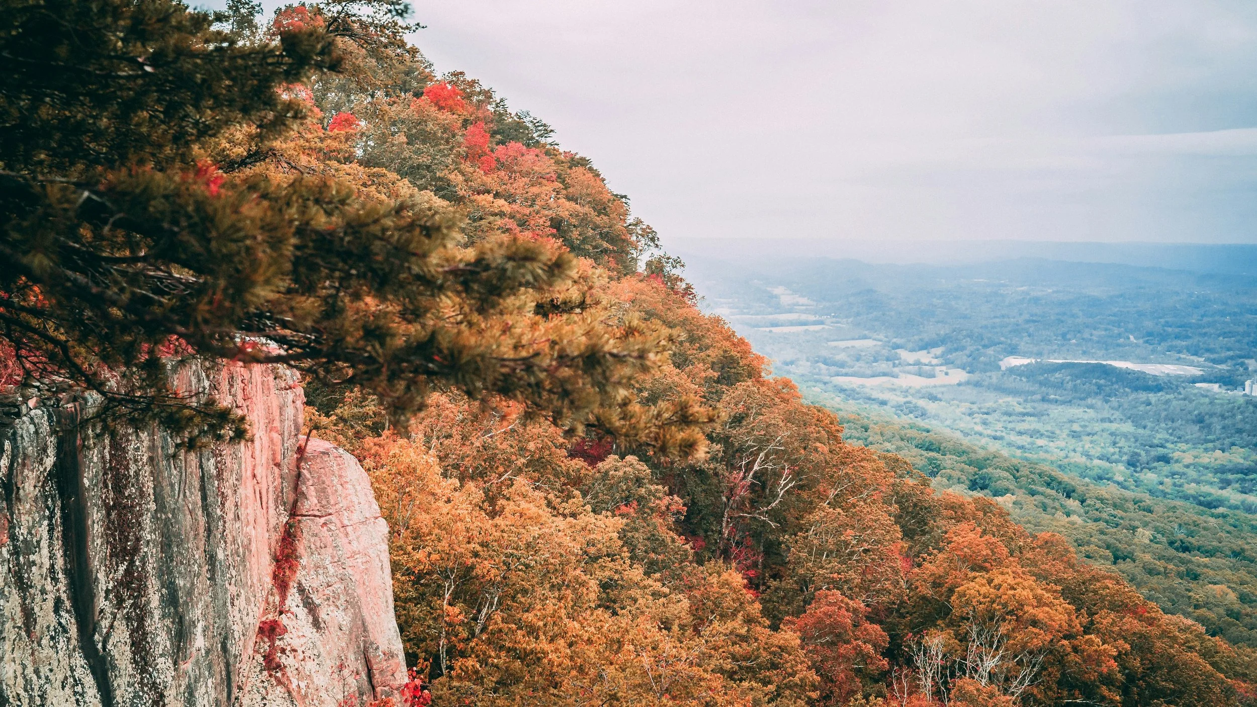 Take the Scenic Route: A Fall Drive Through Marion County