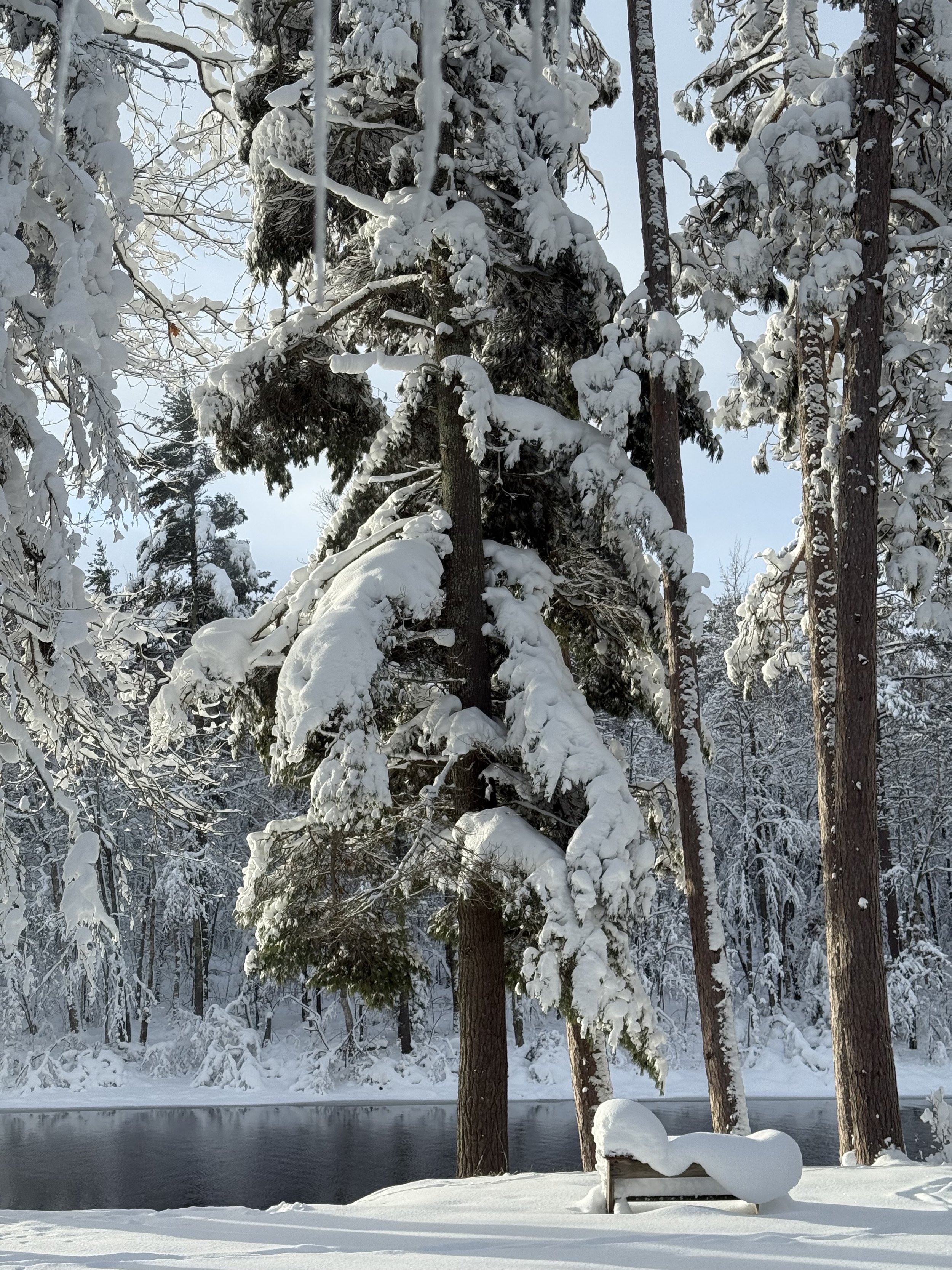 Heavy Snow Inspiration 1.jpg