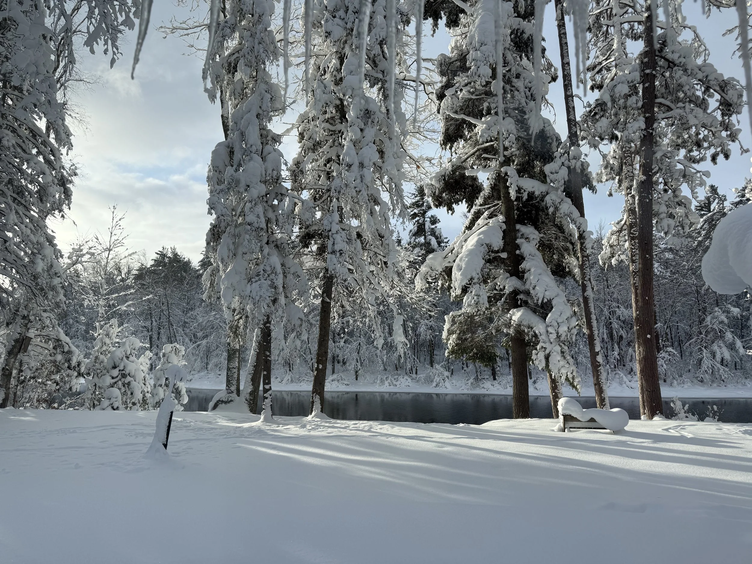 Heavy Snow Inspiration.jpg