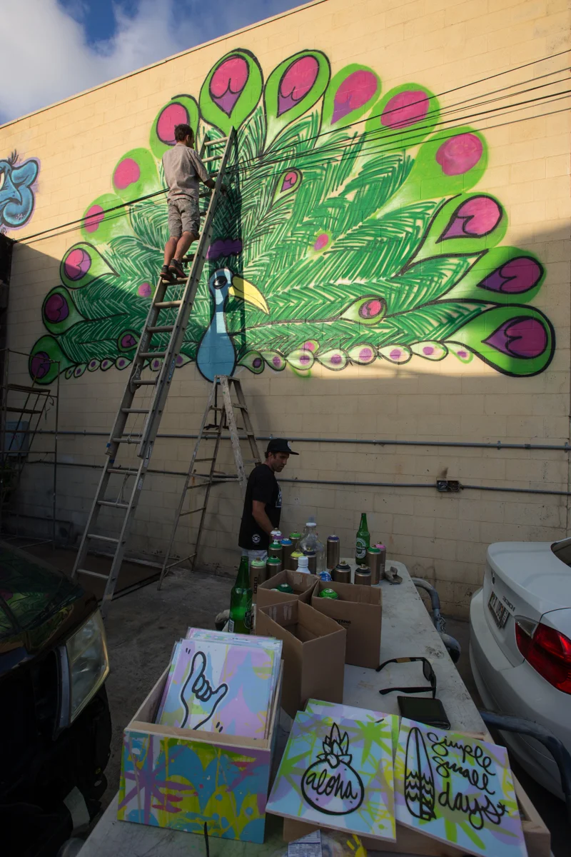 Here is an image of how it was looking with just the spray paint. Way to dark!