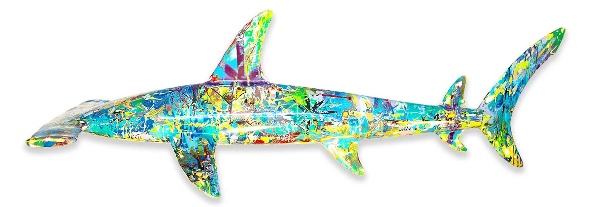 a 6' Hammerhead gliding through the water.