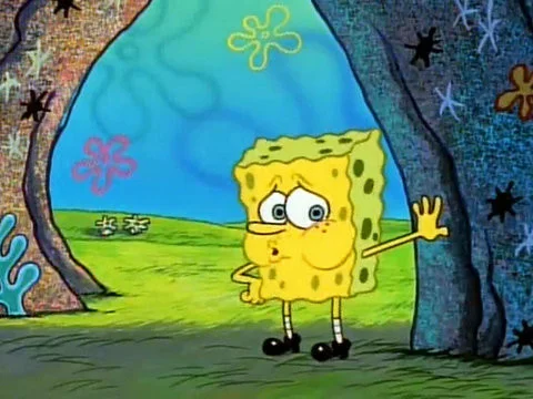 tiredsponge.jpeg