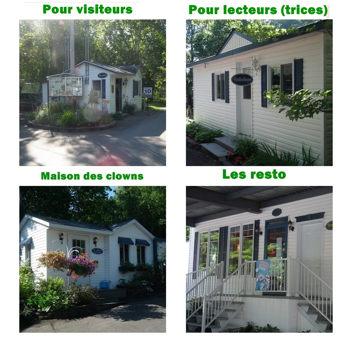 page acceuil.jpg