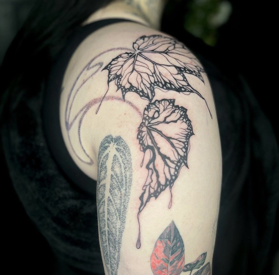 Little leaf skeleton ~ . . . #birdsandbones #birdsandbonesstudio  #birdsandbonestattoostudioandartgallery #artgallery #ta… | Skeleton tattoos,  Leaf skeleton, Tattoos