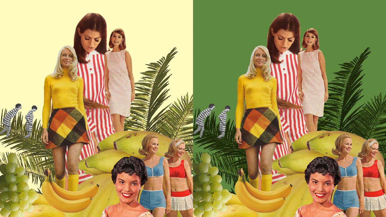 PALCO-gif.gif