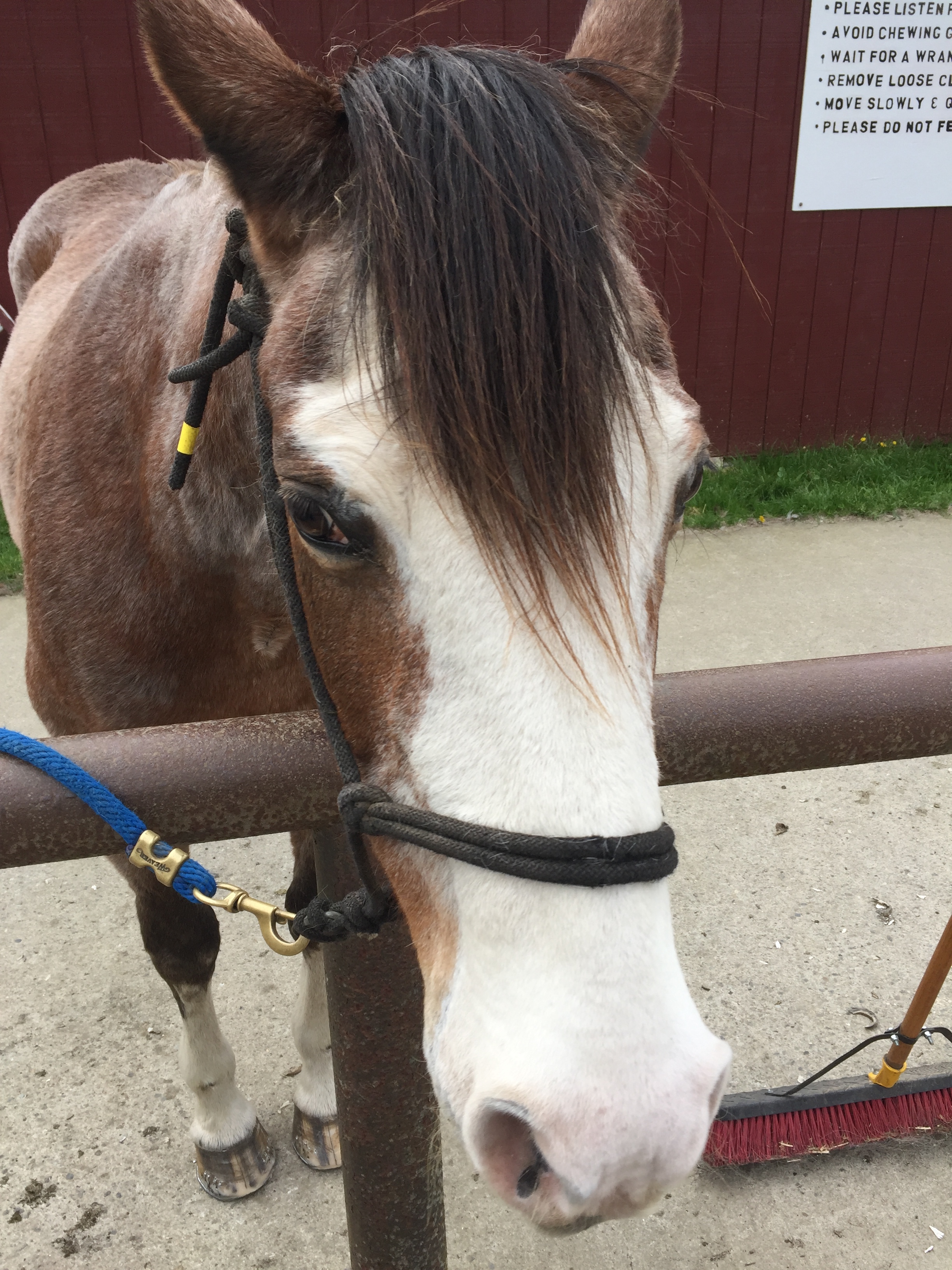 2017-04-25_15-09-29_859.jpeg