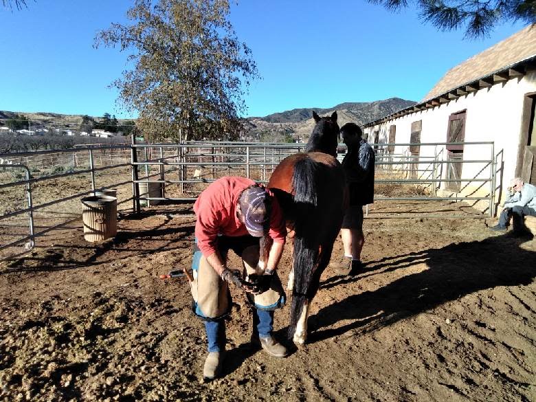 2018-01-29_19-08-50_519.jpeg