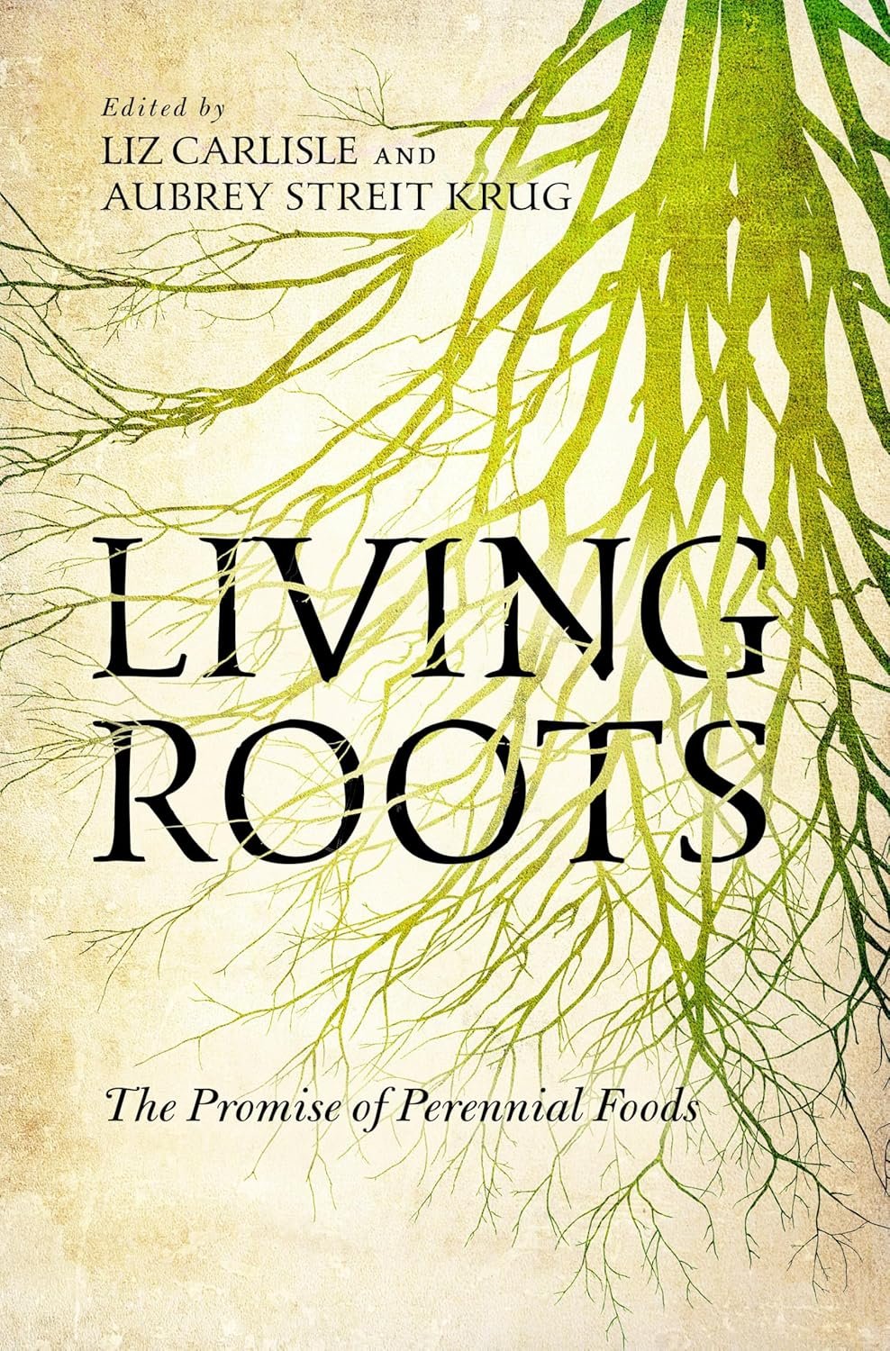 Carisle Krug_03_2026.jpg