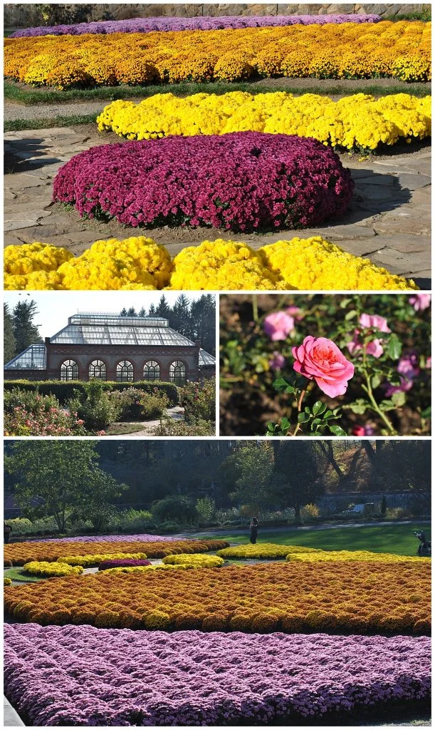 biltmore_0032